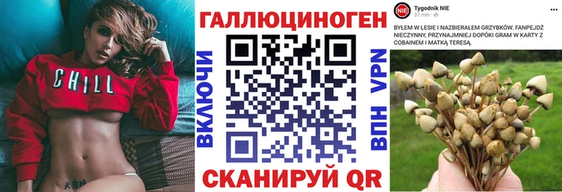 закладки  Сухой Лог  Галлюциногенные грибы GOLDEN TEACHER 