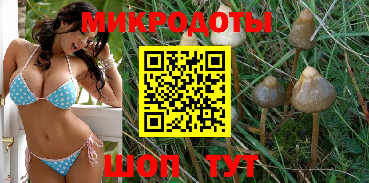 Галлюциногенные грибы MAGIC MUSHROOMS  Вход с VPN  Псилоцибиновые грибы Psilocybine cubensis  Сухой Лог 