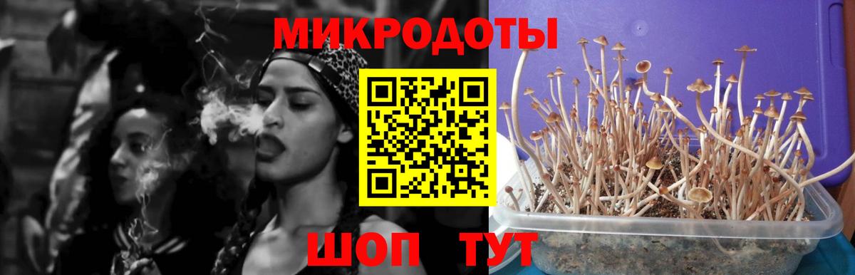 Псилоцибиновые грибы мицелий Сухой Лог
